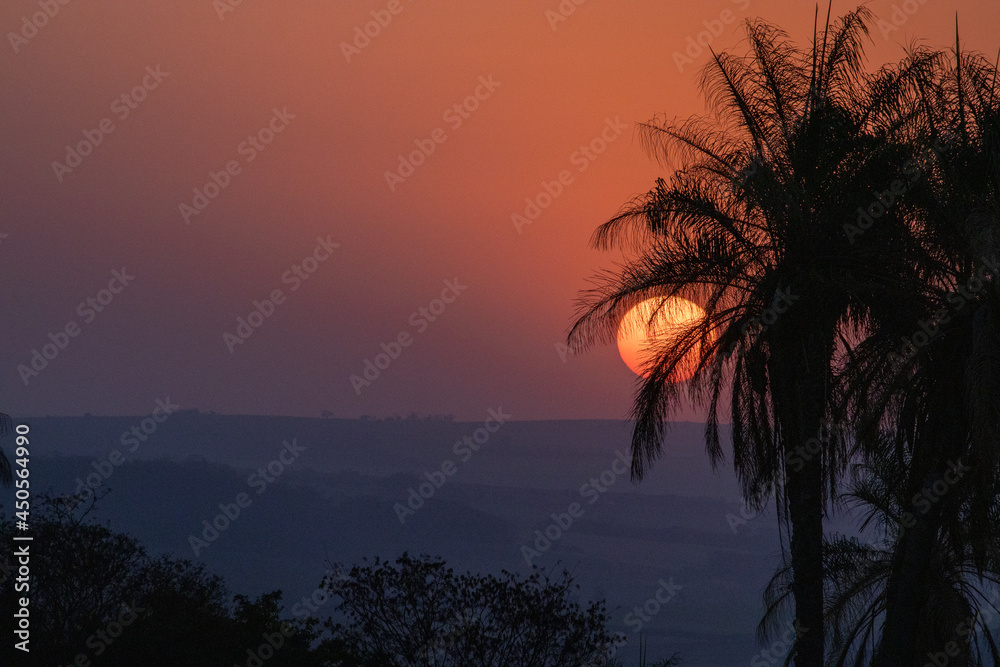 wonderful sunset among coconut trees