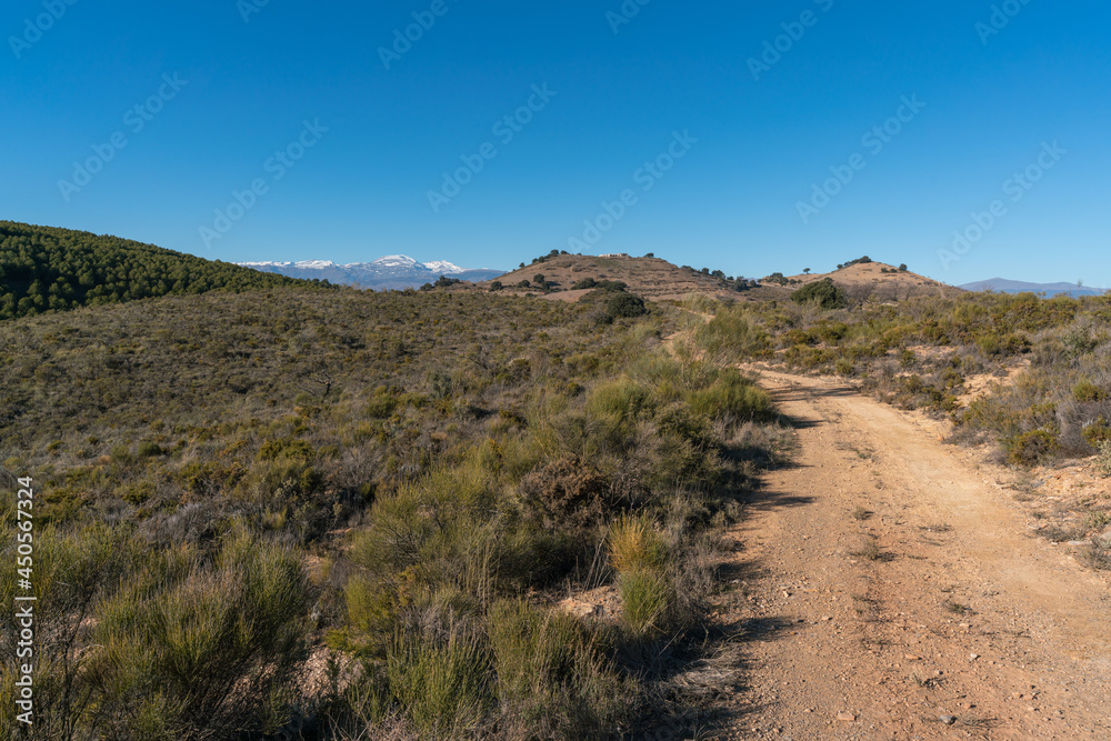 dirt road in the mountain