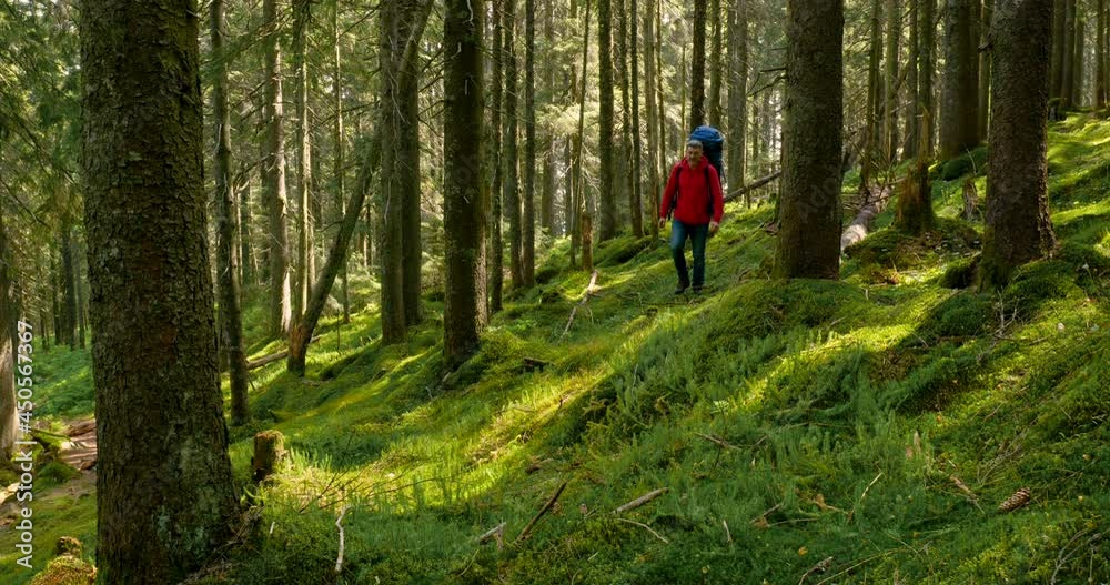 Tourist guy with backpack on hiking adventure trip in natural landscape Tourist guy with backpack on hiking adventure trip in natural landscape