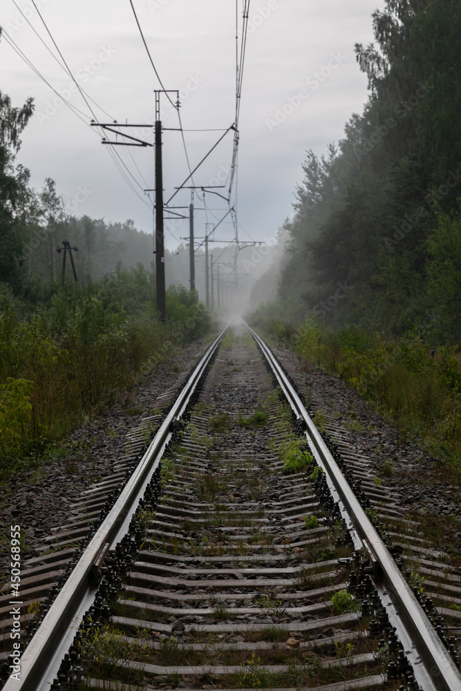 Gloomy photograph of a straight long railway. Rails receding and blurring in the distance in thick white fog. In the distance, silhouettes of power poles are visible in the fog. Deep forest is around