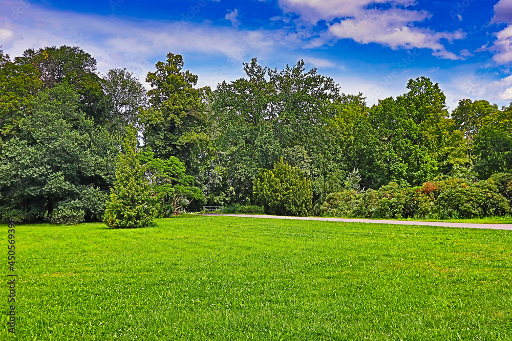 Obraz premium Gepflegte grüne Parkanlage mit weitläufiger Rasenfläche und altem Baumbestand unter blauem Sommerhimmel, Kees'scher Park, Markkleeberg, Landkreis Leipzig, Sachsen, Deutschland