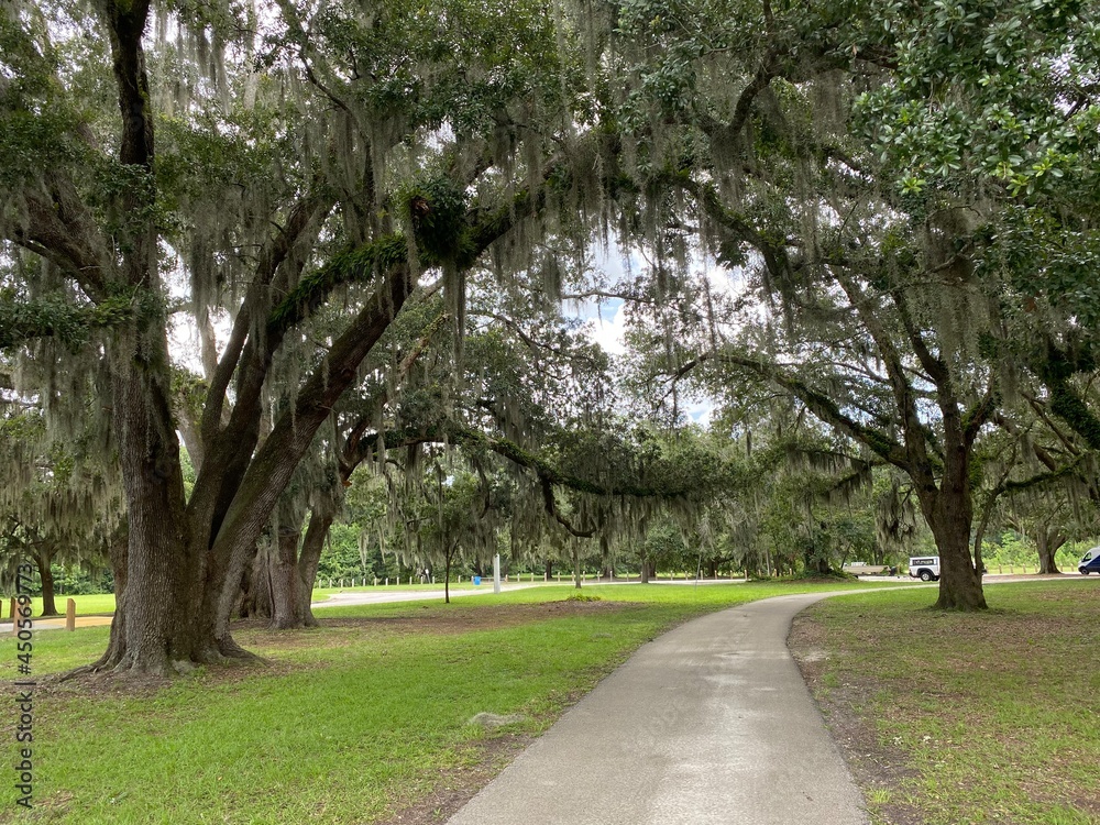 alley in the park