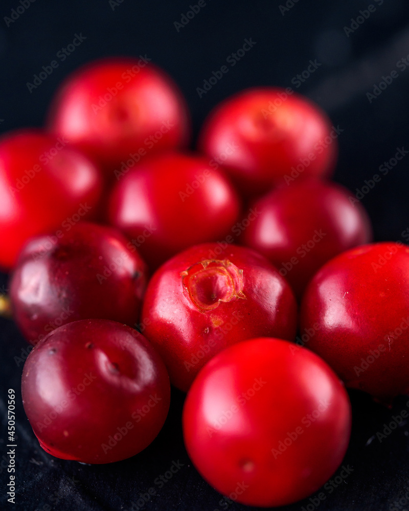 Harvest fresh red Vaccinium vitis-idaea, cranberries, lingonberries, cowberries on rustic dark background. Autumn winter concept. Close-up food image. Harvest fresh red Vaccinium vitis-idaea, cranberries, lingonberries, cowberries on rustic dark background. Autumn winter concept. Close-up food image.