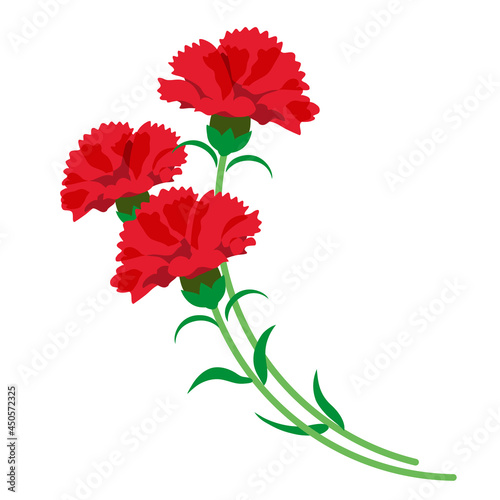 シンプルできれいなカーネーションの花束のイラスト／Illustration of a simple and beautiful carnation bouquet