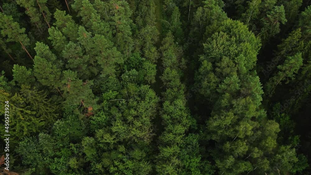 Aerial top down view of the narrow-gauge railway track in forest where a group of people ride on the railroad trolley. Adventure concept. Aerial top down view of the narrow-gauge railway track in forest where a group of people ride on the railroad trolley. Adventure concept.