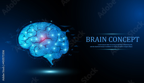 Brain. Low poly abstract digital human brain. Neural network. IQ testing, artificial intelligence virtual emulation science technology concept.