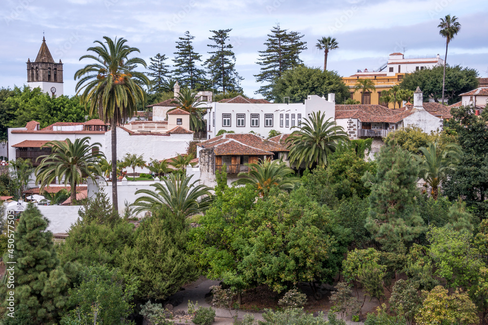 Paisaje entre palmeras del pueblo de Icod de los Vinos en el norte de la isla de Tenerife, Canarias