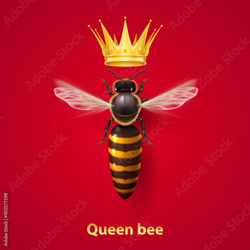 Realistic Bee Queen Mother with Golden Crown. Detailed Illustration of a Queen Bee on Red. Macro Insect, Concept of Food Industry, or Beekeeping