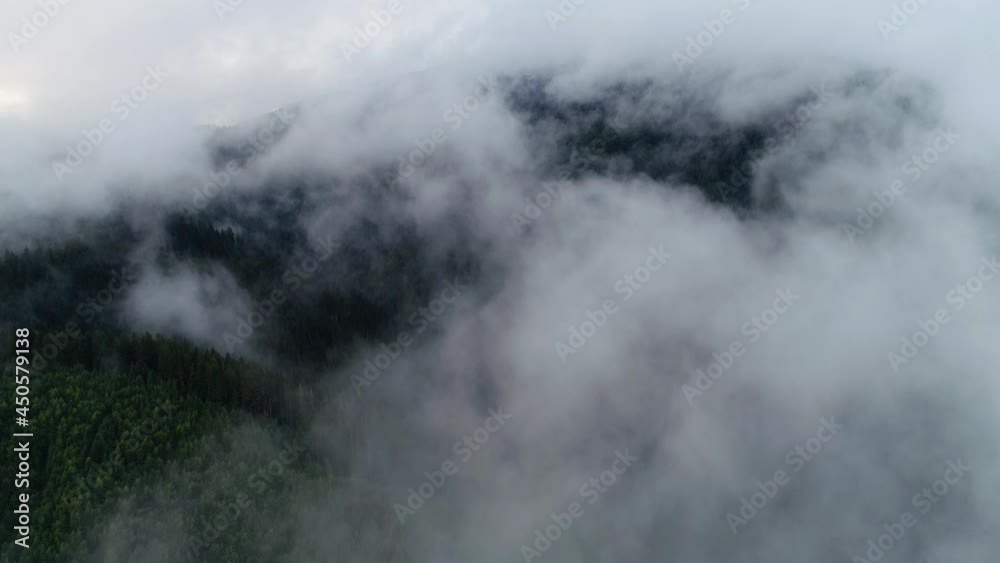 Rainy weather in mountains. Misty fog blowing over pine tree forest. Flying over an amazing rain forest, aerial view above rain forest with fog. Aerial footage of spruce forest trees on the mountain. Rainy weather in mountains. Misty fog blowing over pine tree forest. Flying over an amazing rain forest, aerial view above rain forest with fog. Aerial footage of spruce forest trees on the mountain.