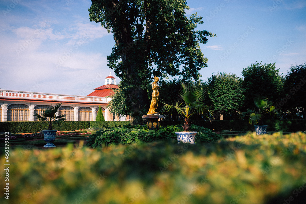 Fototapeta premium garden in the park