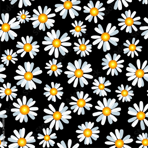 Daisy chamomile seamless vector pattern
