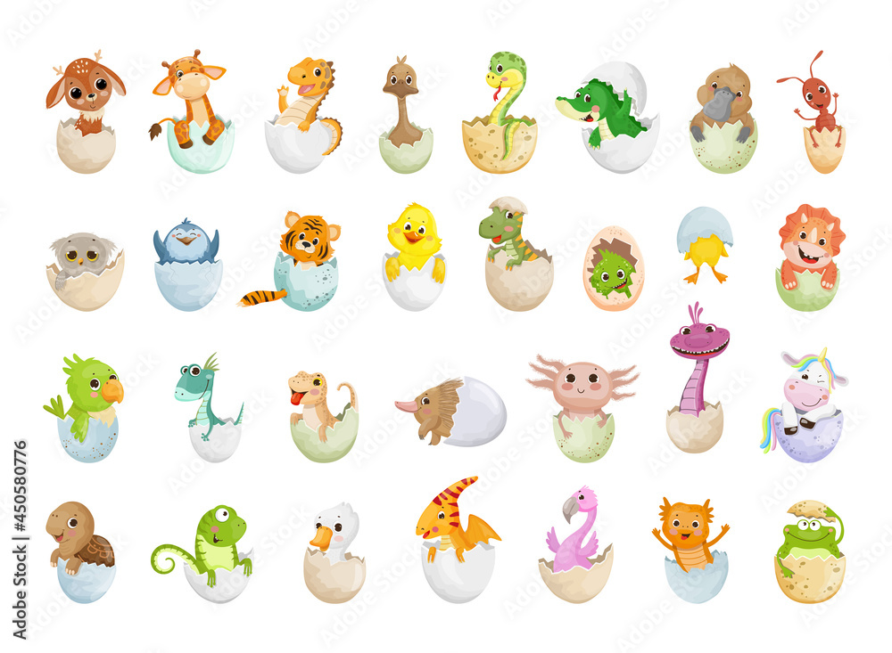 Fototapeta premium Vector collection of animals in eggshell. Colorful childrens illustrations.