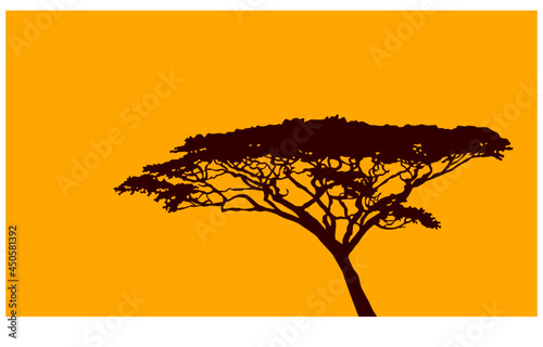 Silhouette of a tree on an orange background. Vector image for prints  poster and illustrations.