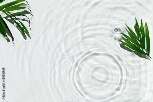 Photography Abstract water texture with circles and palm leaf