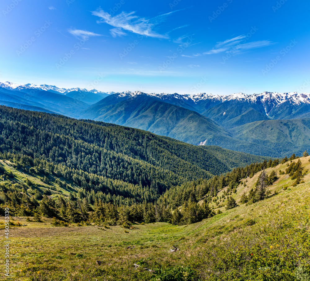 View in the valley of the Olympic National Park from Hurricane Ridge