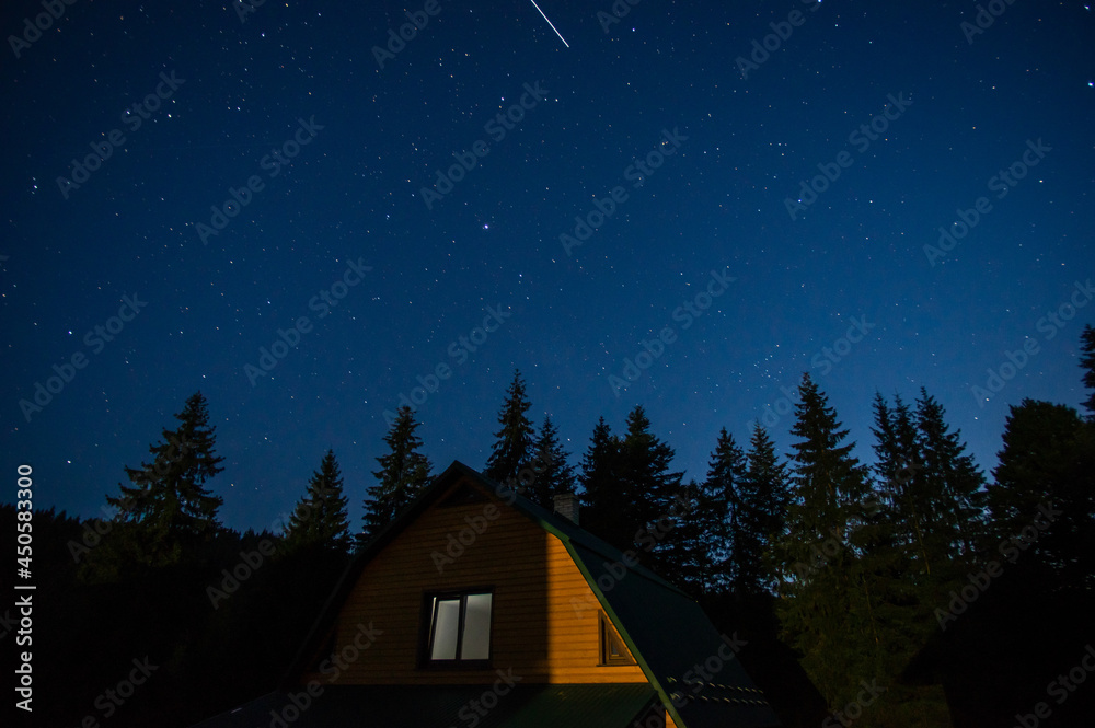 Fototapeta premium Beautiful night landscape, house among the forest against the background of the starry sky
