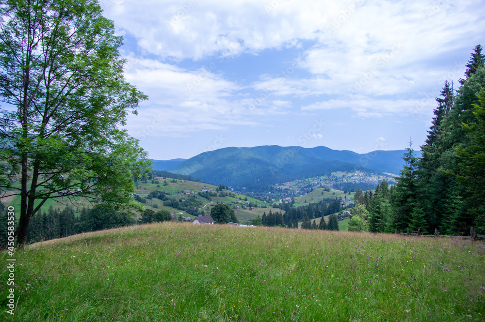 Panorama of a village among the mountains in the Ukrainian carpathians in summer