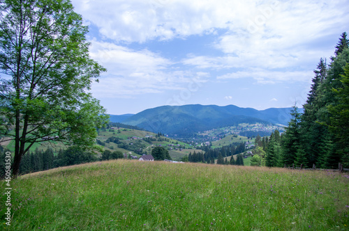 Panorama of a village among the mountains in the Ukrainian carpathians in summer