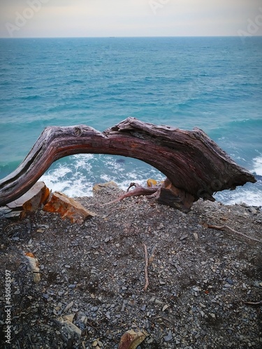 boat on the beach