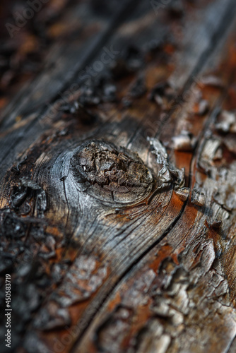 Wood background with faded color and cracked texture. © Grigoriy
