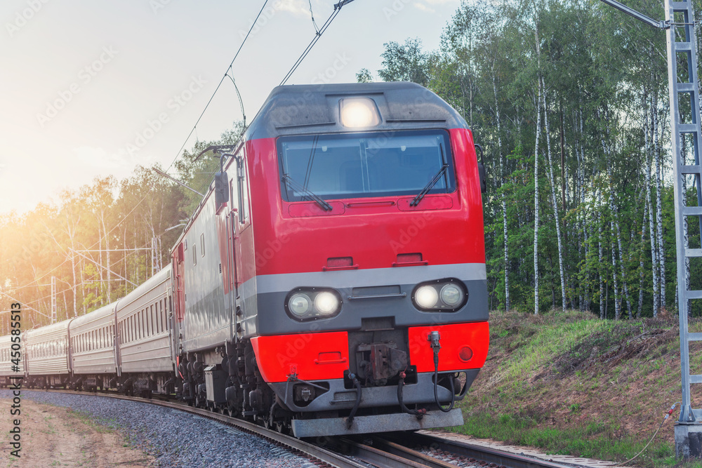 Passenger train moves in the forest.