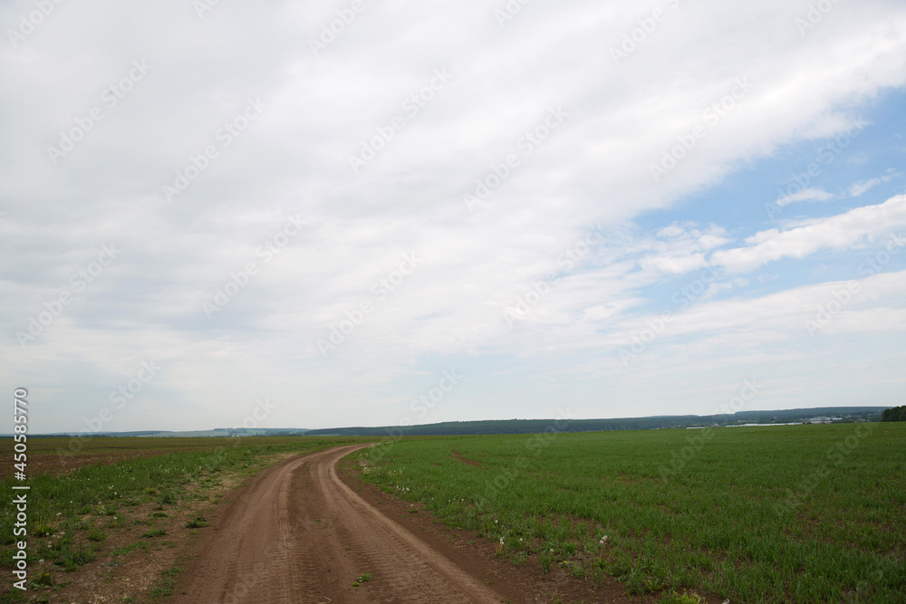 white clouds a green field and a road