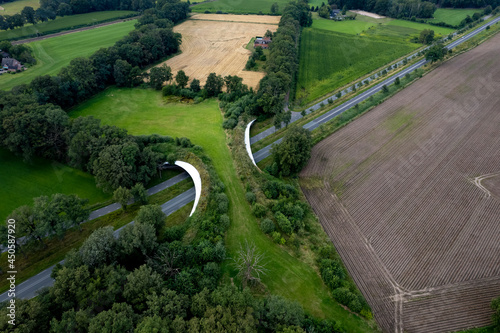 Wildlife crossing forming a safe natural corridor bridge for animals to migrate between conservancy areas traversing a highway. Environment nature reserve infrastructure eco passage. photo