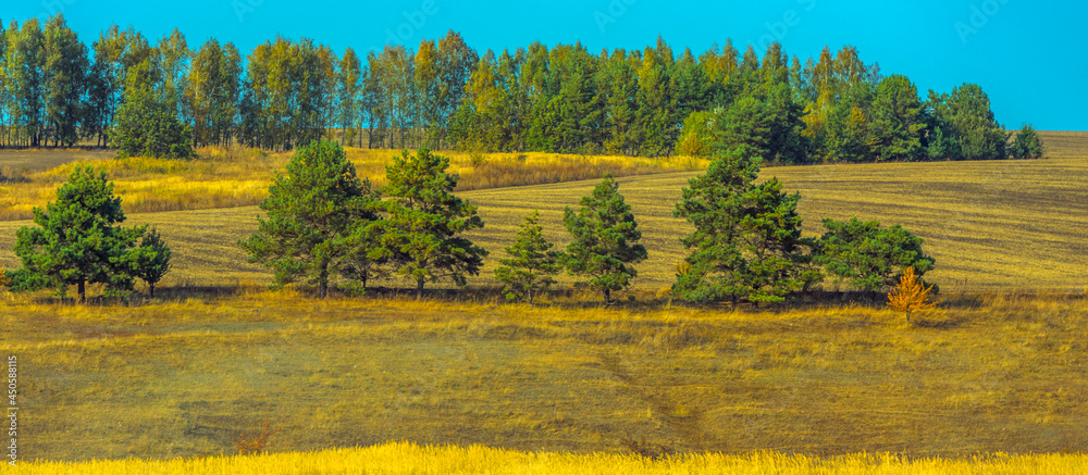 Autumn landscape. Yellow fields and blue sky.