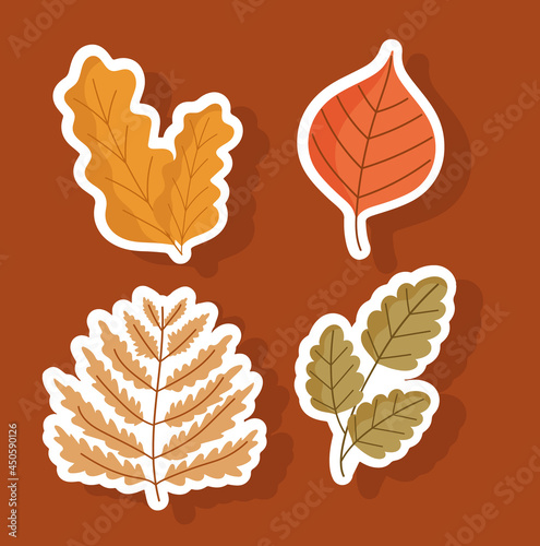 set of autumnal leaves
