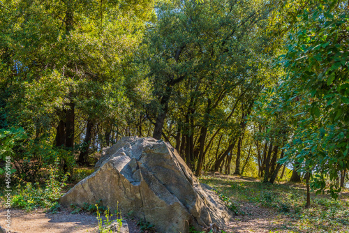 Alupkinsky Park (also known as Vorontsov Park) photo