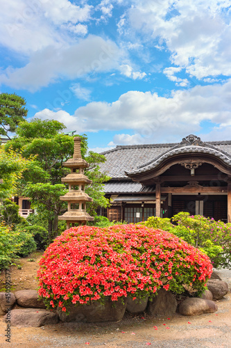 Inner garden of the Buddhist gotokuji zen temple adorned with a pink azalea shrub and a six storied stone pagoda Kuyoto symbol of Buddhist funerals. photo