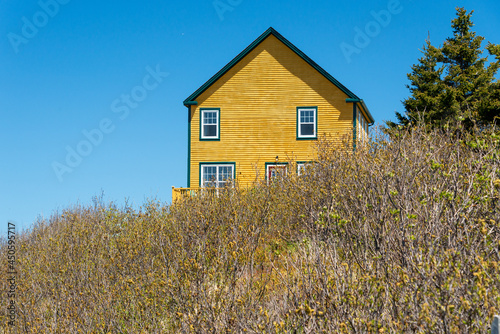 The roof of a yellow wooded cape cod building with multiple double hung windows under a blue sky. The house is on a hill with grass in front and tall green trees to the side of the property. 