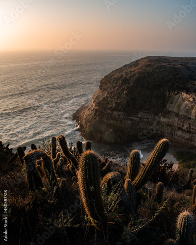 The sea in front of a big cliff on a beautiful sunset with cactus in the foreground