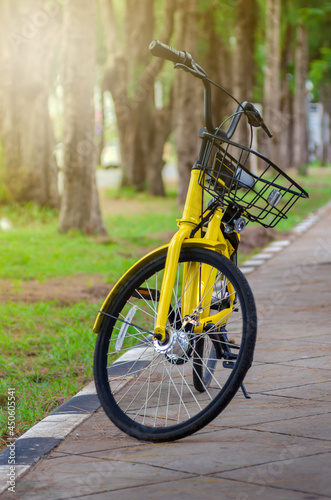 Yellow bicycle still on road in public garden with soft warm light