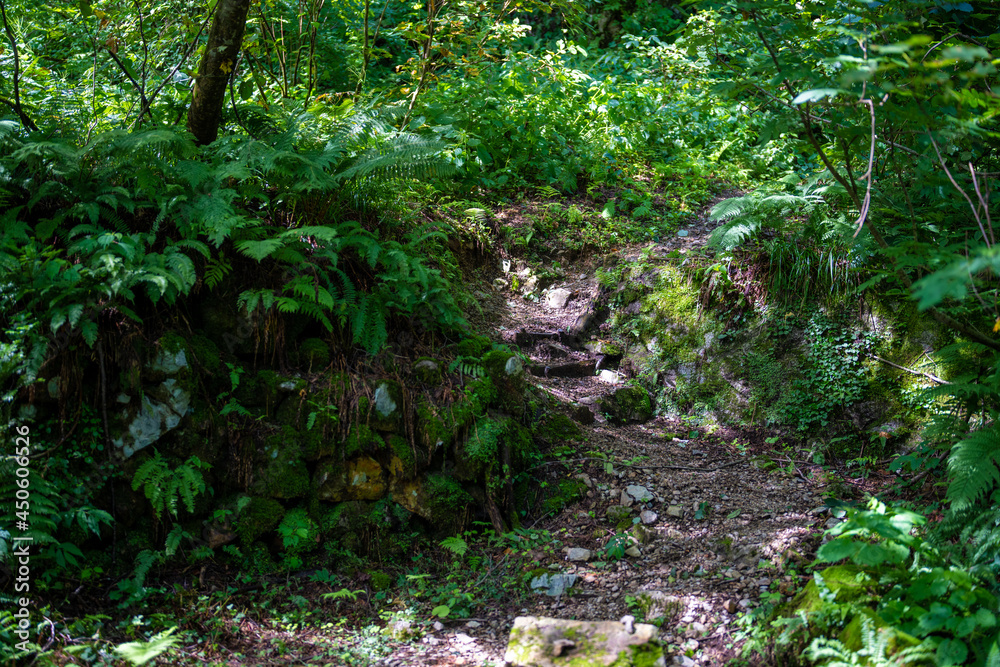 富山県中新川郡上市町の中山から立山の剱岳を望む登山をしている風景 A view of mountain climbing with a view of Tsurugidake in Tateyama from Nakayama in Kamiichi Town, Nakashinagawa County, Toyama Prefecture.
