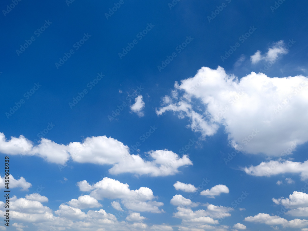Fototapeta premium 初夏の青空と雲
