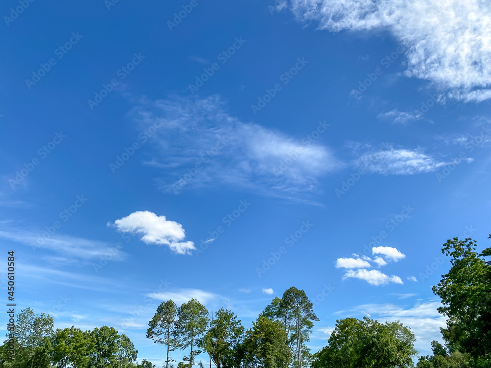 Panoramic view of clear blue sky and clouds, clouds with background. Panoramic view of clear blue sky and clouds, clouds with background.
