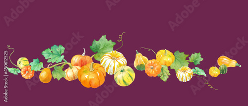 Fototapeta Naklejka Na Ścianę i Meble -  サンクスギビングデー、ハロウィンの装飾水彩イラスト。カラフルなおもちゃカボチャ。秋の収穫イメージ。