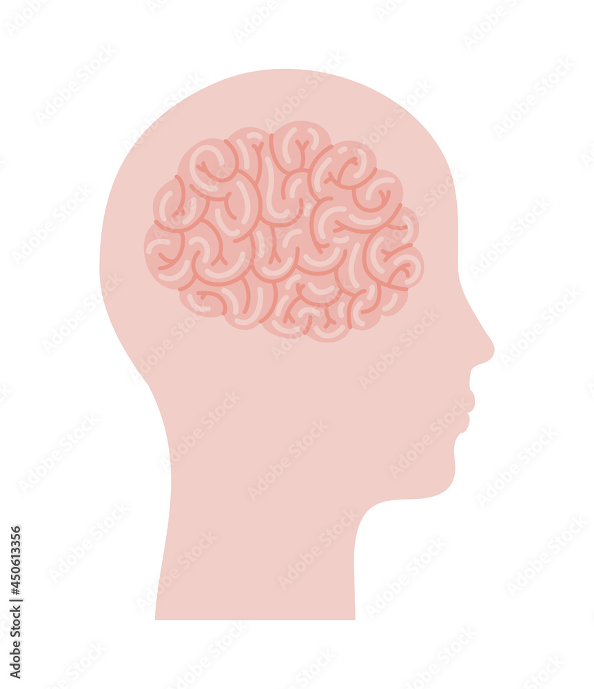 head and brain silhouette head and brain silhouette