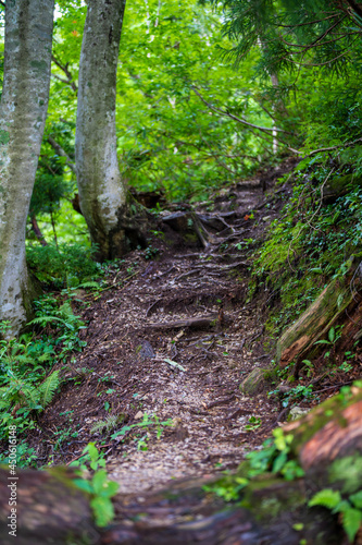 富山県中新川郡上市町の中山から立山の剱岳を望む登山をしている風景 A view of mountain climbing with a view of Tsurugidake in Tateyama from Nakayama in Kamiichi Town, Nakashinagawa County, Toyama Prefecture.