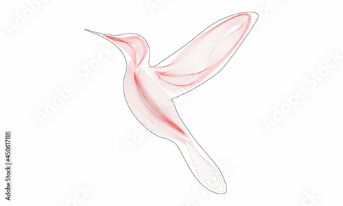 abstract pink hummingbird