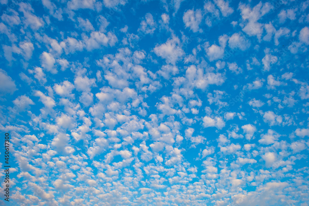 Cirrocumulus clouds in a blue sky in bright sunlight at sunrise in summer, Almere, Flevoland, The Netherlands, August 12, 2021 Cirrocumulus clouds in a blue sky in bright sunlight at sunrise in summer, Almere, Flevoland, The Netherlands, August 12, 2021