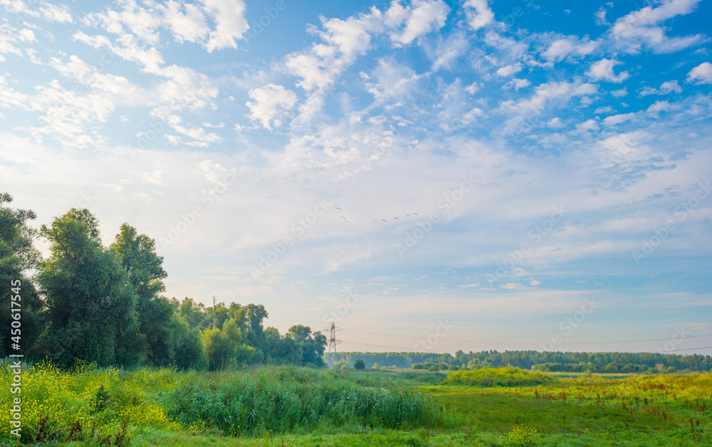 Cirrocumulus clouds in a blue sky in bright sunlight at sunrise in summer, Almere, Flevoland, The Netherlands, August 12, 2021 Cirrocumulus clouds in a blue sky in bright sunlight at sunrise in summer, Almere, Flevoland, The Netherlands, August 12, 2021