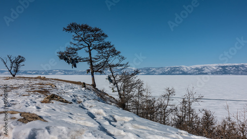 There are bare trees on the shore of a frozen lake. Snow on the ice and on the ground. A mountain range against the blue sky. Baikal