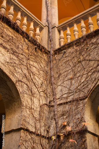 Interior courtyard of a building in Barcelona