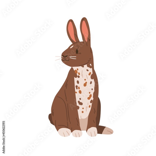 Cute rabbit of English spot breed. Spotty bunny sitting. Portrait of happy animal with ears. Realistic coney pet. Flat vector illustration isolated on white background