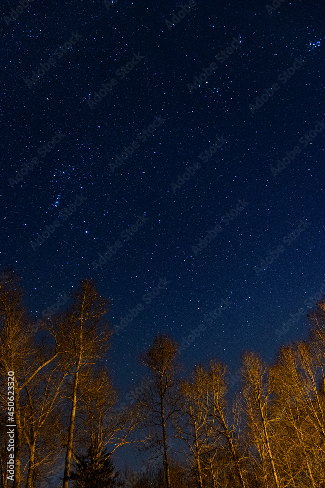 Naklejka premium Night Sky