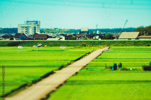 日本の田園風景と青空