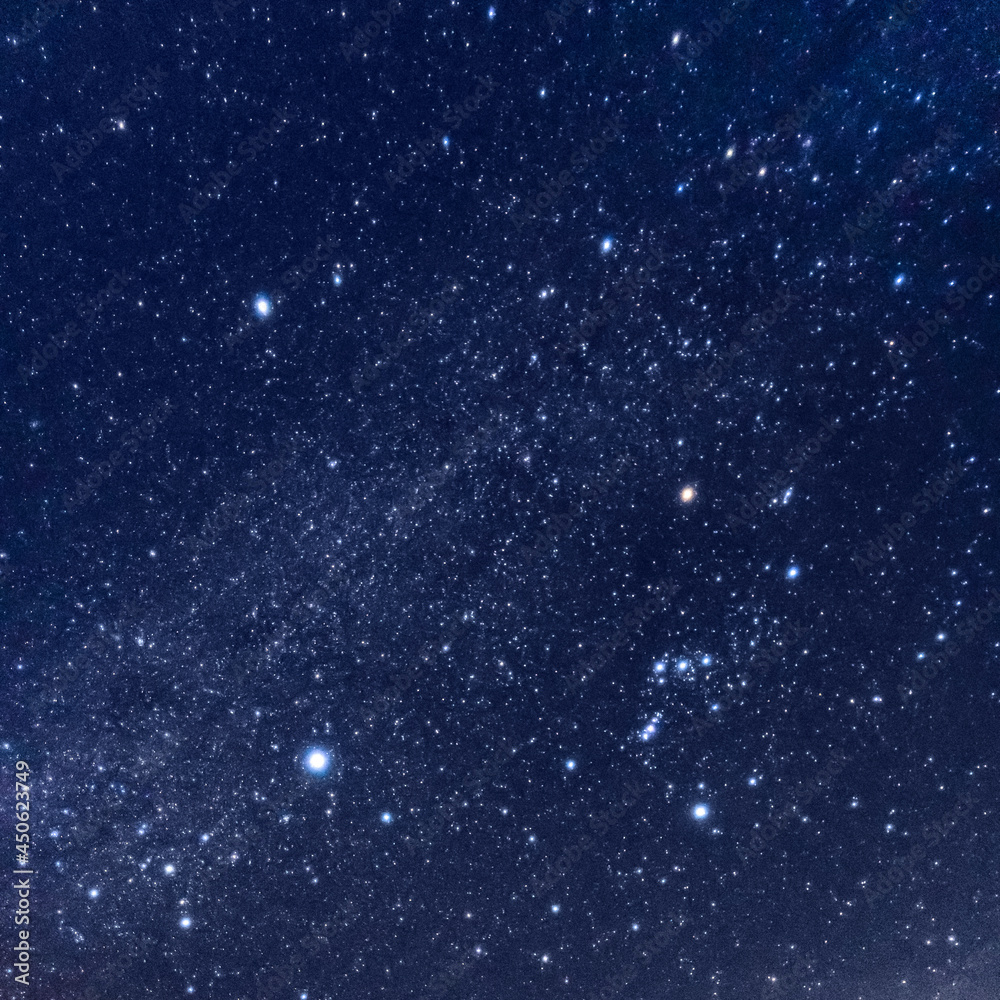 Fototapeta premium オリオン座と冬の大三角