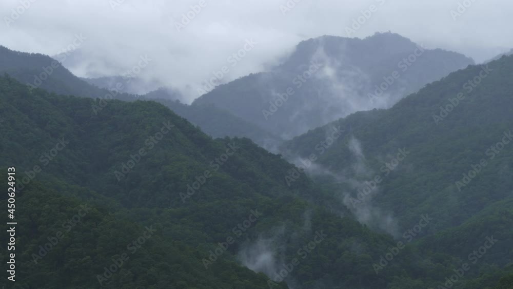 landscape in the morning and fog , the north of thailand landscape in the morning and fog , the north of thailand